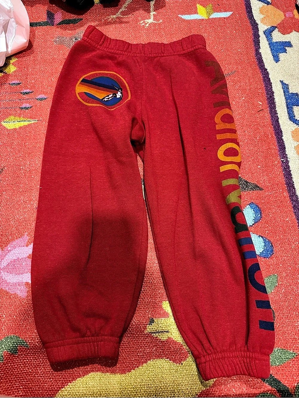 Aviator Nation Kids Bolt Print Sweatpants Red 4